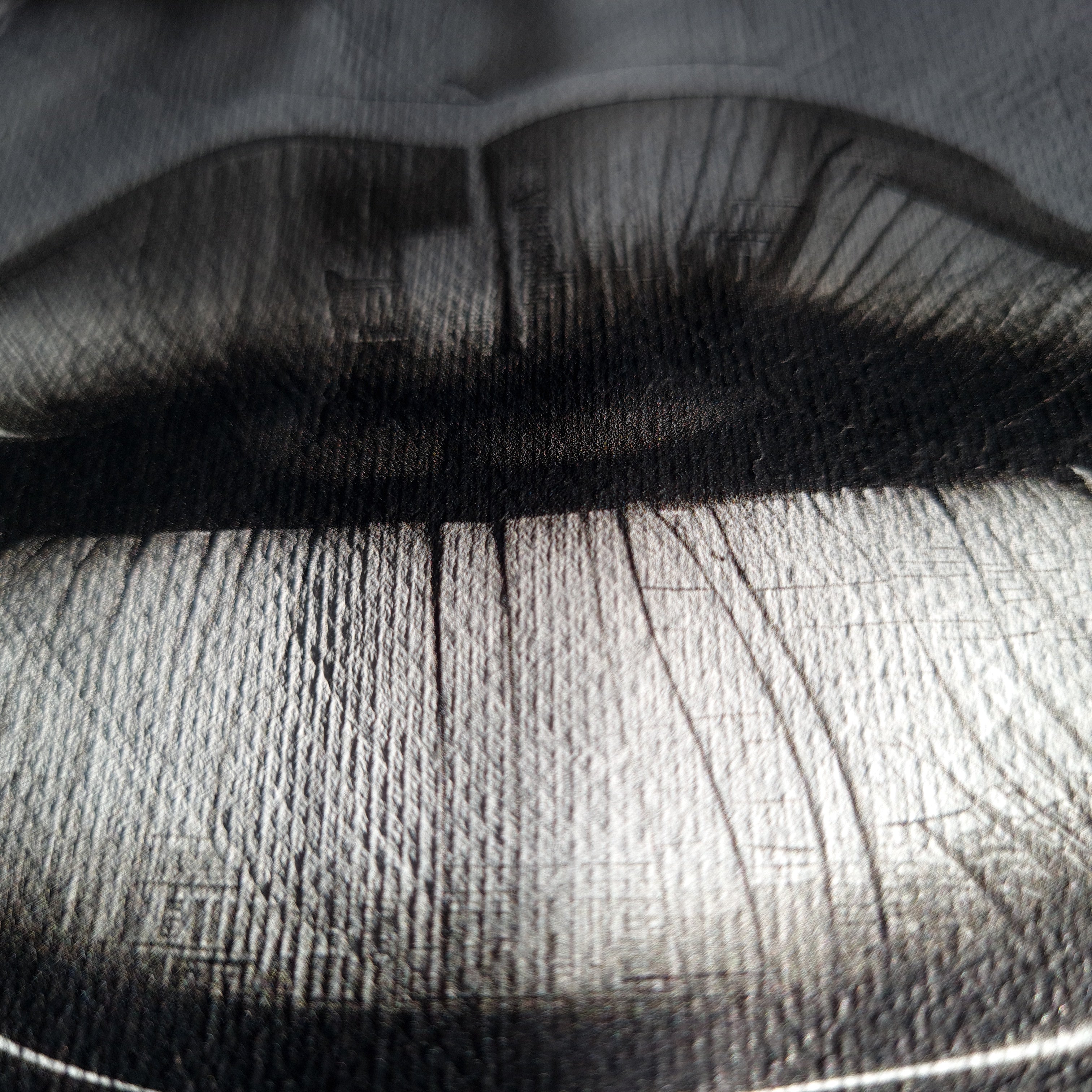Close-up of an elephant's textured skin with visible wrinkles.